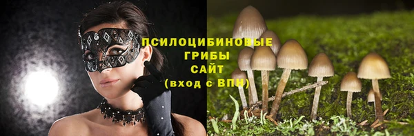 кокаин колумбия Инсар
