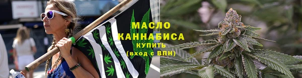 индика Иннополис