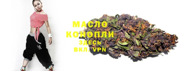 индика Иннополис
