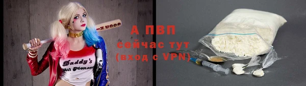 индика Иннополис