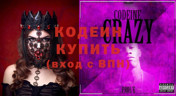 индика Иннополис