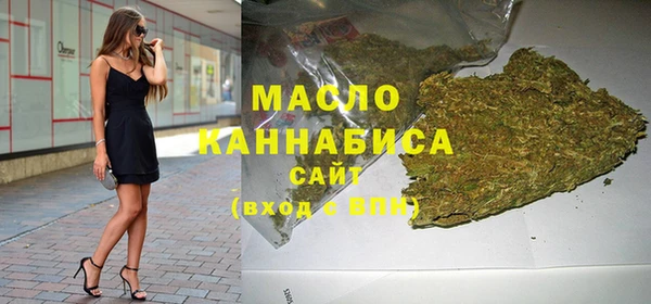 индика Иннополис