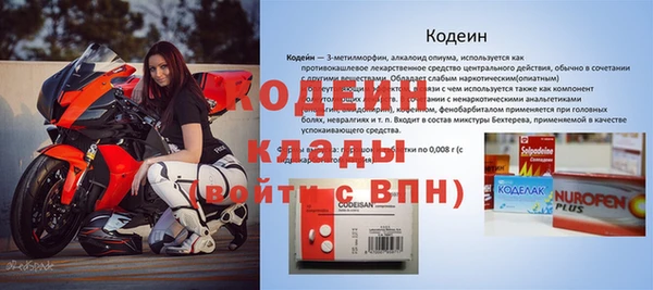 индика Иннополис
