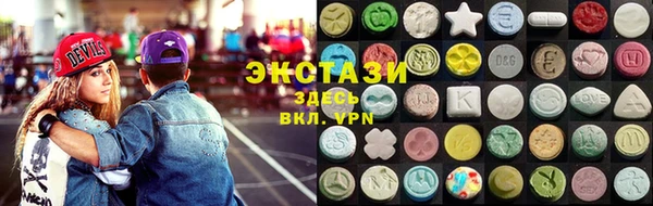 индика Иннополис