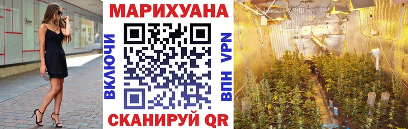 Купить  Баксан  Канабис план 